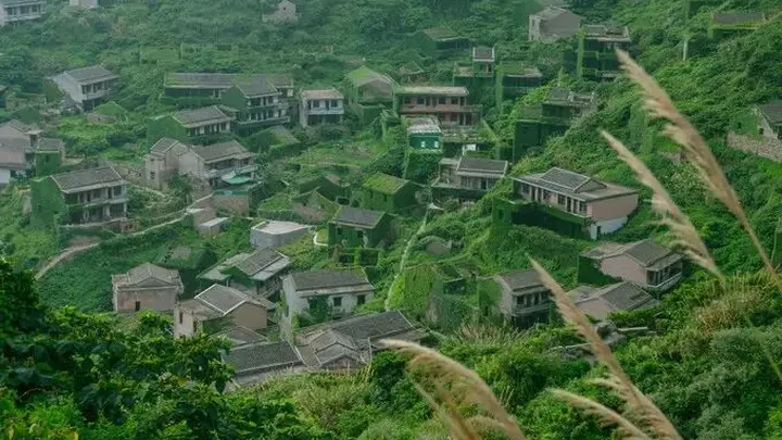 被遗弃的中国绝美无人村,真实世界版的“绿野仙踪”!