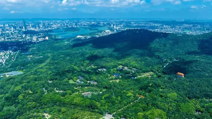 钟山赴青春之约！南京钟山风景区诚邀2026年全国高校新生共赴千年文脉之约