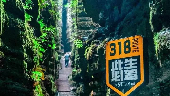 暑期去恩施旅游真的能避暑吗?这份实测攻略告诉你答案