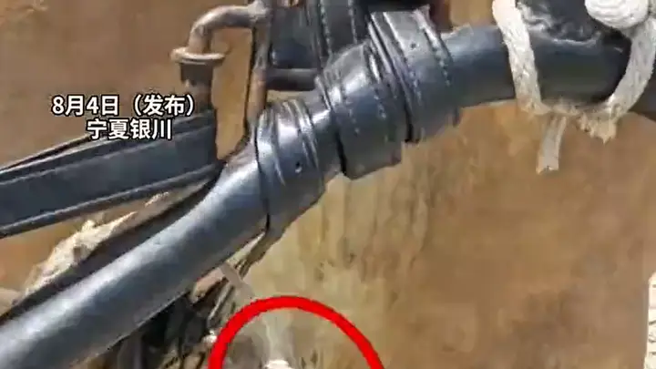 西夏陵被列入世遗后游客暴增，拉车马磨破皮仍作业 景区致歉并全力整改守护动物权益