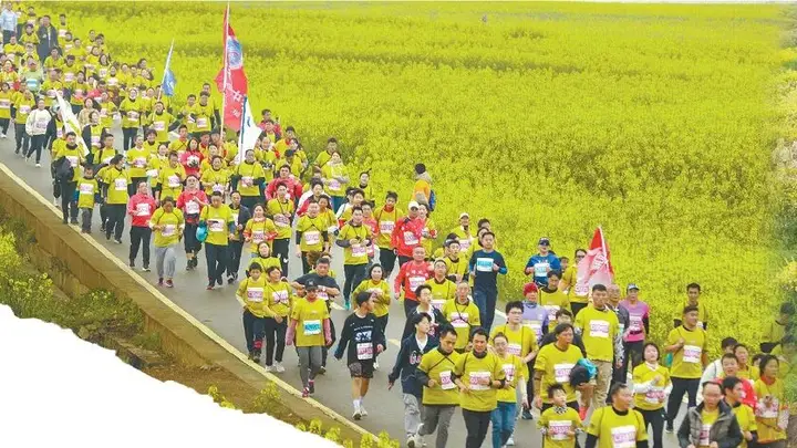 云南花卉旅游打造全域全时段发展格局 成长为文旅产业重要增长极