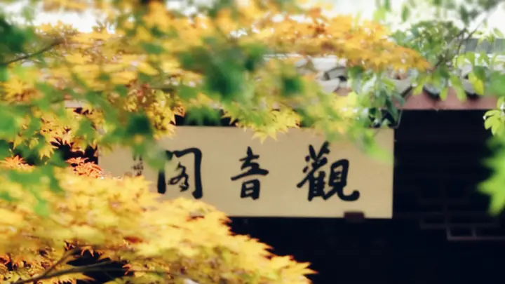 立秋至浅秋启 南湖革命纪念馆伴你共赴清宁好光景