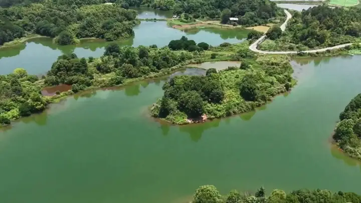 大批老人涌入增城,打着旅游名义,不逛白水寨不小楼古村,为啥