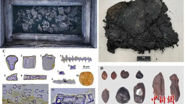 武王墩墓考古研究:2200年前植物包或揭示祭祀屈原及食粽起源