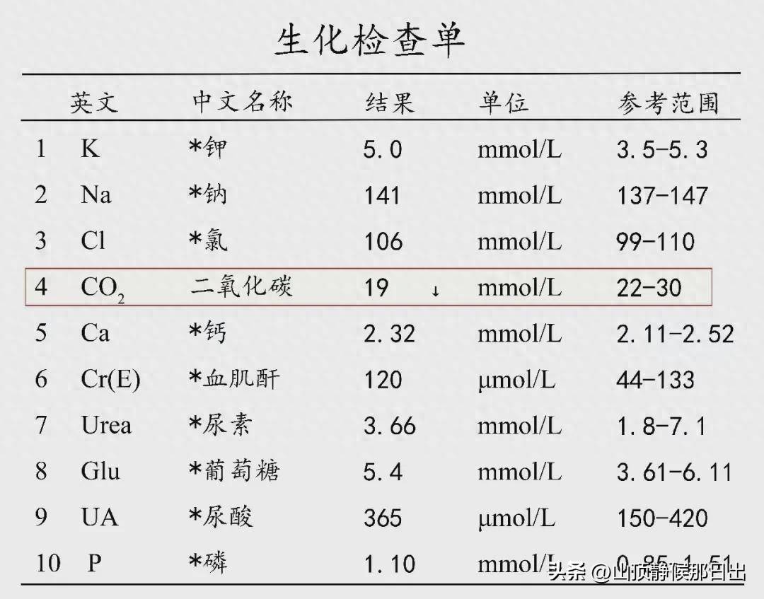 肾友别乱戒主食！吃太少真的会加速肾衰