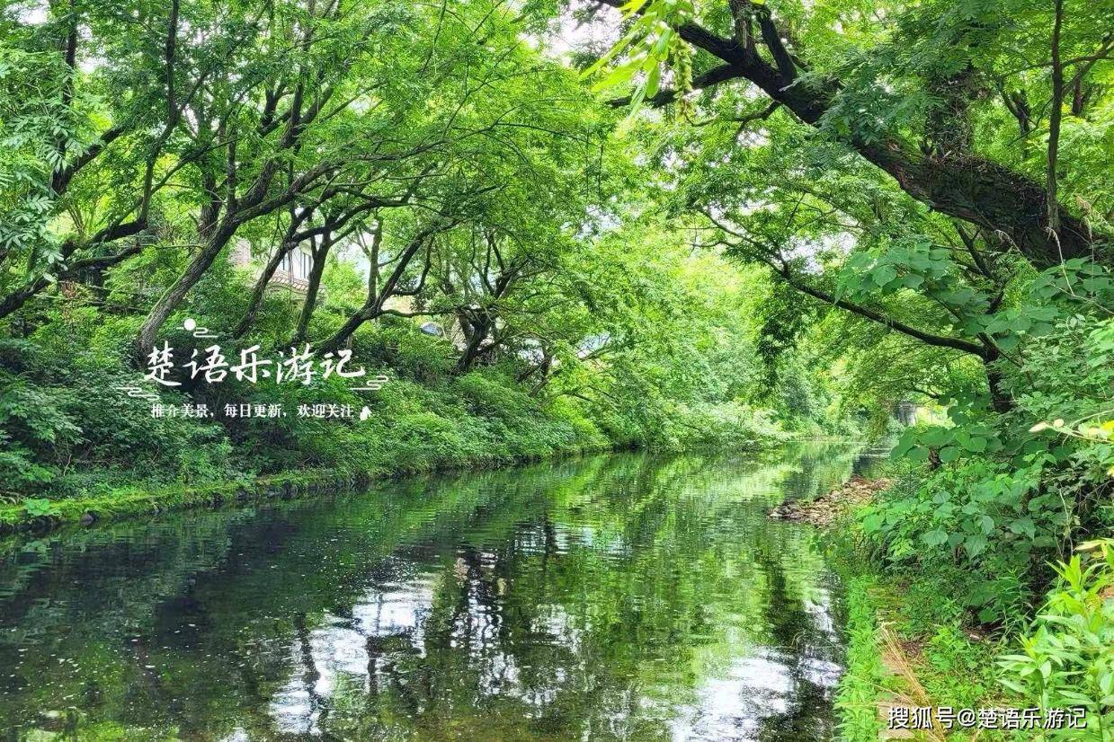浙江宁波这片翠谷的风景太治愈了，清溪瀑布美如诗画，是玩水胜地