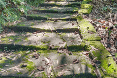 踏行千年茶马古道,感受立体景观与原生村落风情