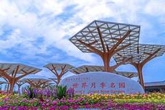 【欢乐一夏 畅游南阳】南阳世界月季大观园西园免费入园公告