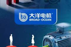 “60后”两口子闹离婚，大洋电机2天蒸发30亿