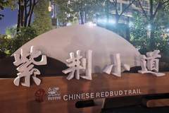 丽州访古观五金盛景有感——梓涵