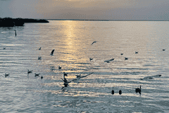 居延海日落新玩法 3号码头看绝美景致不用熬夜赶日出