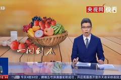 央视辟谣：食物相克都是假的，真正要注意的只有这3组，要牢记