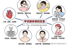 优生备孕先抓甲状腺！提前筛查纠正才是规避孕期风险的关键防线