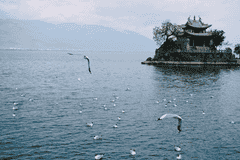 3分钟一键生成昆明大理7天路线 圆周旅迹AI旅行工具彻底绕开行程折腾