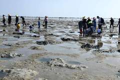 合浦沙岗赶海最全攻略 潮汐卡时点装备全避坑 解锁海边限时收获乐趣