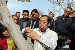 太行山上的绿色奇迹！李保国用28项成果让140万亩荒山披绿 10万群众得实惠