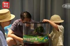 星空住宿、乡村夜游...多地夜经济热力全开，解锁新玩法→