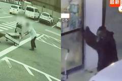 野猪街头打擂台,黑熊纵享“霸王餐”……日本迎来野生动物暑期“City Walk”潮?!