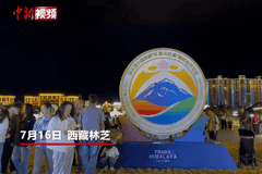 外籍嘉宾沉浸式体验西藏文化 多彩藏装赢得真挚“点赞”