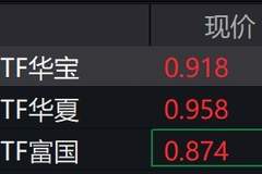 大数据概念股强势爆发，大数据ETF大涨近5%