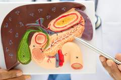 四种零食悄悄损害胰腺 医生提醒:男女都要少吃