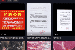 涉案企业成本倒挂仍售假 假驴肉金额过亿两实控人获刑无期
