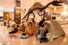 江苏夜游推陈出新 多场沉浸式活动点亮夏日文旅新亮点