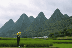 峰林深处藏真味 贵州酸汤凭山韵获十大地标火锅