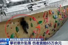 攀岩坠落致八级伤残 该由谁来赔？