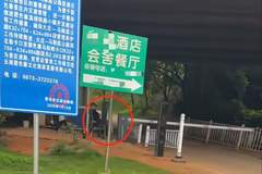 碧色寨30元收费真相揭秘！接驳车服务费并非过路费，《芳华》取景地迎打卡热潮