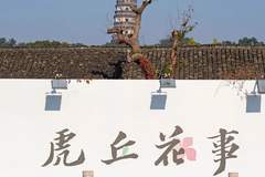 七里山塘香不断,读懂苏州千年花市