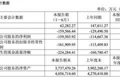 市场需求阶段性疲软叠加产业链价格博弈影响 大全能源上半年净亏损15.95亿元 同比增亏