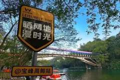 收藏！靖安超全游玩清单上新，森林古刹古村一站式打卡攻略来了