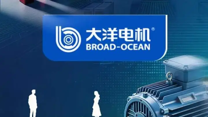 “60后”两口子闹离婚，大洋电机2天蒸发30亿