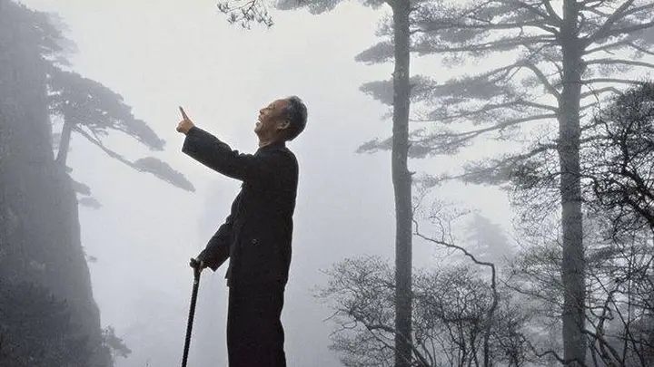 法国摄影师摄黄山:水墨仙境的云海奇松