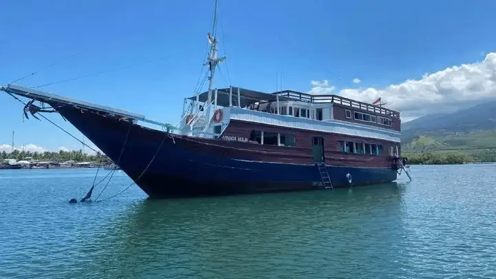 印尼游轮沉没 中国游客亲历漏气救生筏黑夜漂流获救