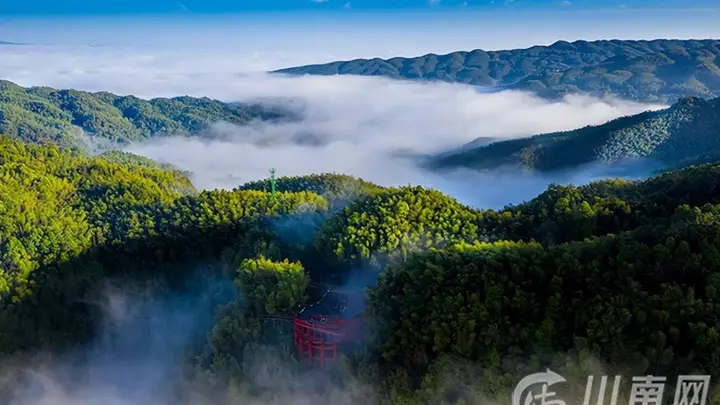 蜀南竹海大暑避暑新体验:清凉绿意醉游客