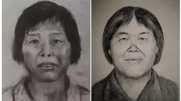 人贩子“梅姨案”已到审查起诉环节:谢家梅会被判死刑吗?律师解读