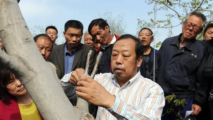 太行山上的绿色奇迹!李保国用28项成果让140万亩荒山披绿 10万群众得实惠