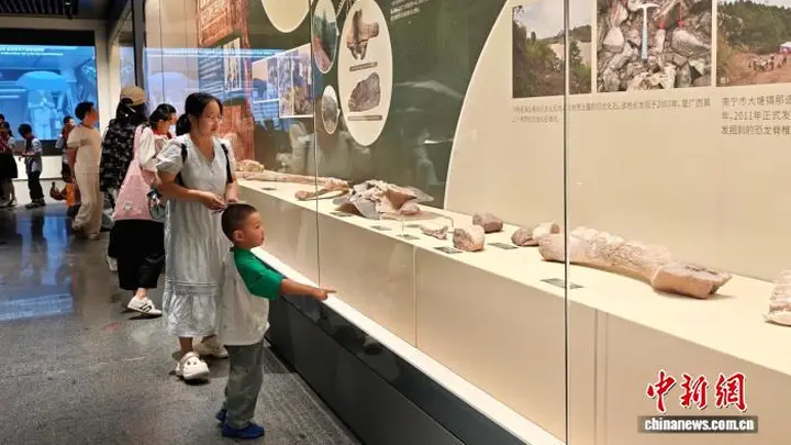 “巨兽觉醒”广西恐龙科普大展亮相江苏无锡