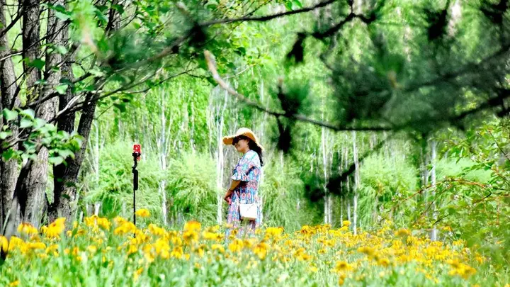 逛知青公园 赏夏日美景