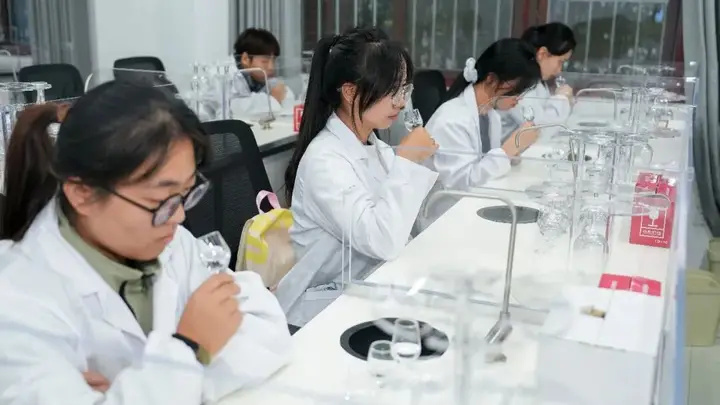 茅台学院的“品酒尖兵”是怎样练成的