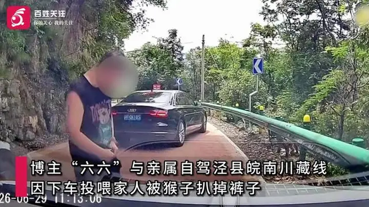 游客自驾安徽皖南川藏线遇猴群,下车投喂小猴时被护崽心切的大猴扒掉其裤子,当地文旅局回应