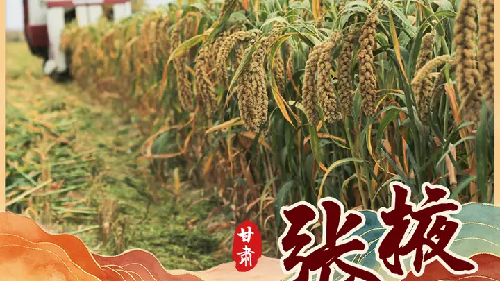 (图表·海报)中国之城丨甘肃张掖:“蜂腰之地”山河万象