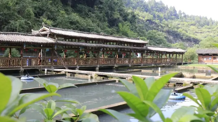 【寻味绥阳】茅垭清水鱼庄:一锅石锅鲟鱼 藏山野鲜醇