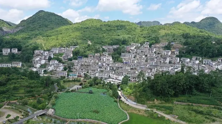 双认证加持旅居热 龙宫镇桃子村21℃清凉引客长住