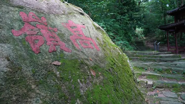 新华视点|寻瓷记