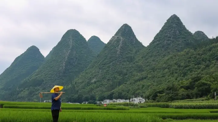 峰林深处藏真味 贵州酸汤凭山韵获十大地标火锅