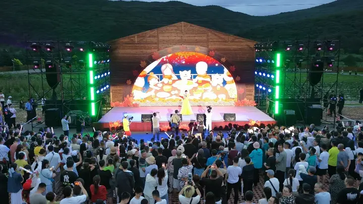 南岔县:梧桐小镇·森林音乐季启幕