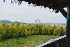 湖州因太湖得名却难用太湖名片 凭借跨三省区位优势成长三角核心看点